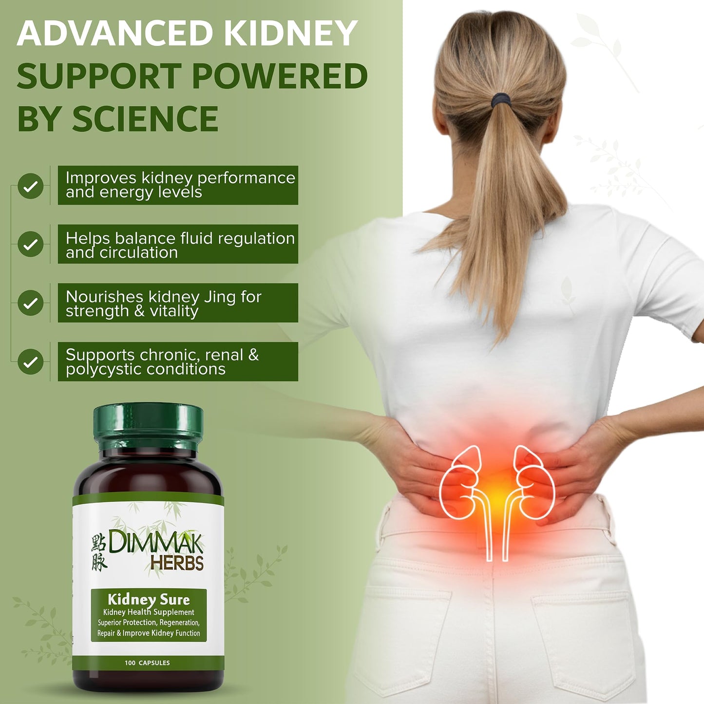 Dimmak Herbs Kidney Sure- Kidney Cleanse & Revitilization Tonic- Organic Herbal Support for Renal Health, Urinary Tract Flow & Vitality- TCM Doctor Formulated, Vegan- 400mg 100 Capsules Dimmak HerbsBuy Supplements Australia