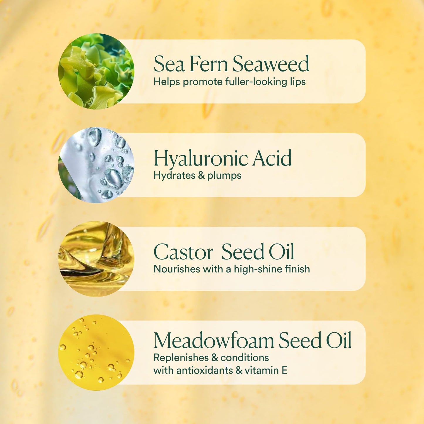 OSEA Hyaluronic Lip Oil Booster – Clean Beauty Lip Oil for Plump, Glossy, Hydrated Lips – Nourishing Seaweed & Meadowfoam Oil – Vegan, Non-Sticky, High-Shine Finish OSEABuy Supplements Australia