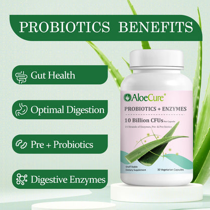 AloeCure Daily Probiotics 10 Billion CFU for Digestive Support 8 Strains, 6 Prebiotics & Enzymes - Digestive Supplement with Bromelain for Women & Men