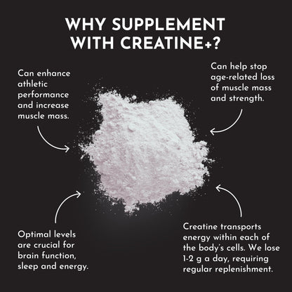 JUST INGREDIENTS Creatine Monohydrate Powder with Rejen Fulvic Mineral Complex - Supports Muscle Recovery, Energy, Strength, Cognitive Function - 30 Servings
