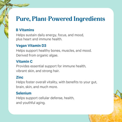 PURE SYNERGY Multi·Vita·Min | Vegan Multivitamin Made with Organic Whole Foods | Twice Daily Supplement for Men and Women PURE SYNERGY