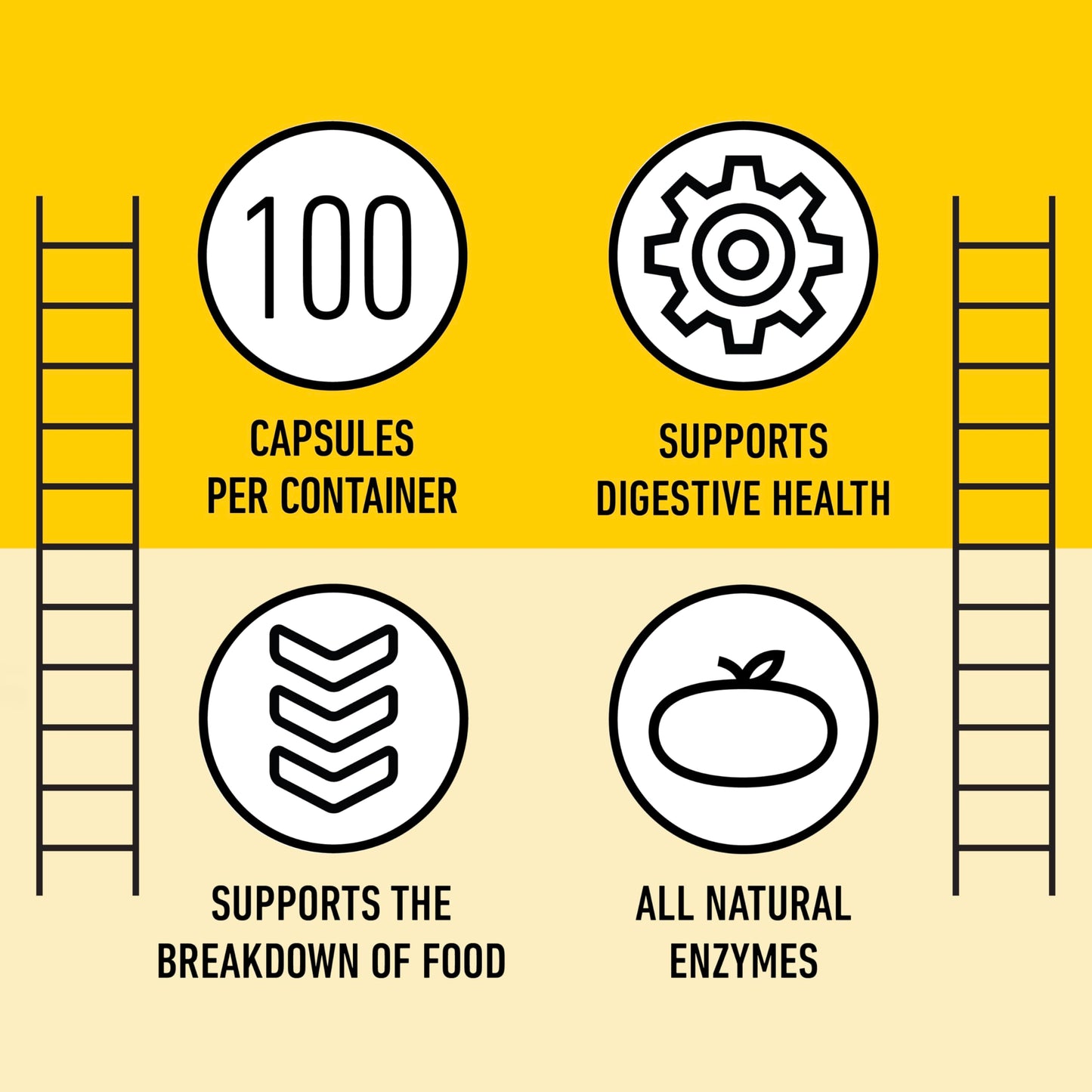 Complete Natural Products Digestive Enzyme Capsules, 550mg, 100ct | Plant-Based Formula