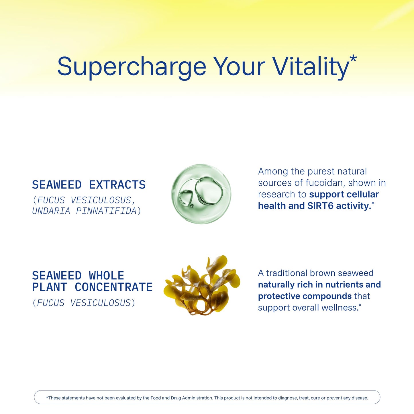 ProHealth Sirtuin 6 Activator | 60 Capsules | Fucoidan-Rich Seaweed Extract to Activate SIRT6 for Longevity, DNA & Cellular Support | Triple Lab-Tested, GMP-Manufactured in USA ProHealthBuy Supplements Australia