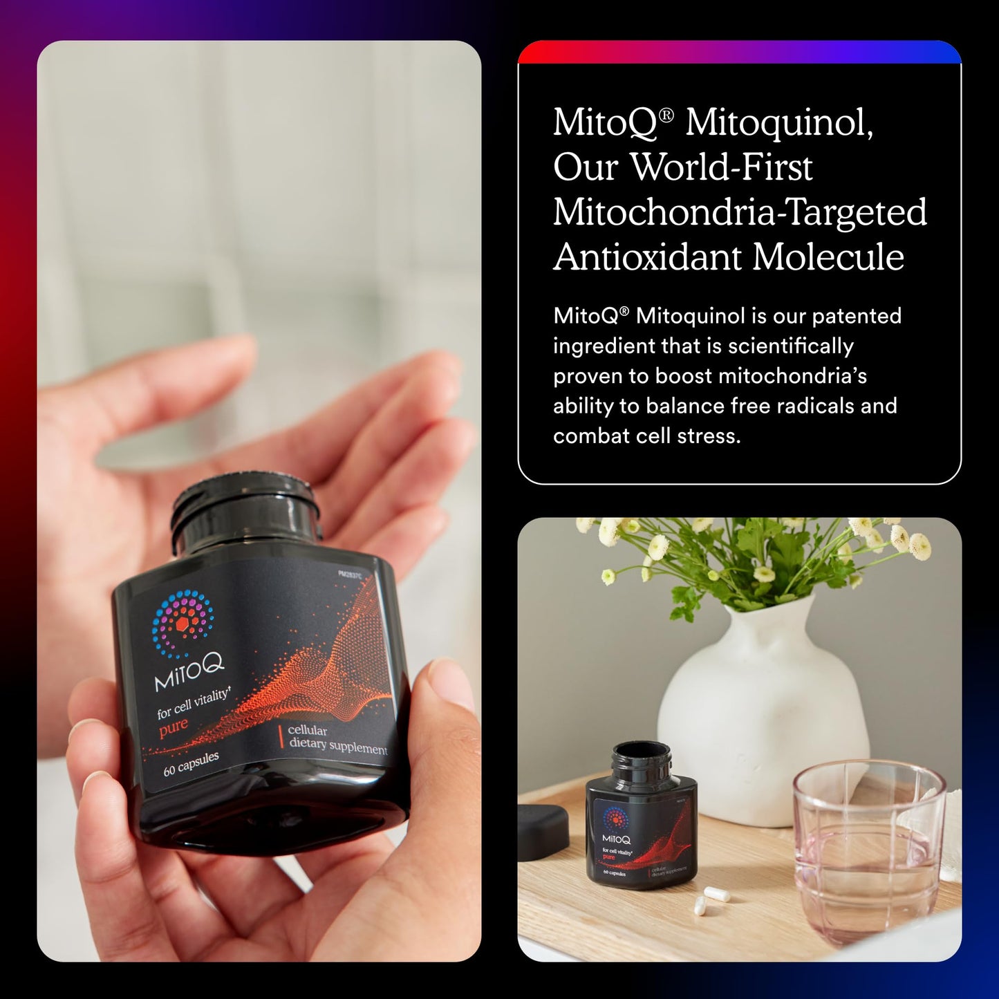 MitoQ Pure Advanced Mitochondria Supplement Superior Bioavailability to CoQ10 | Reduces Free Radical Damage for Healthy Aging, Metabolism, Heart Health, Energy, Strength & Mobility MitoQ buy supplements Au