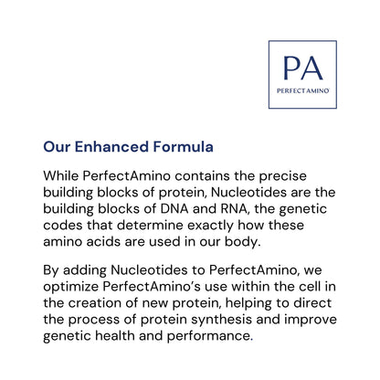 BodyHealth PerfectAmino, Essential Amino Acid with BCAAs + Lysine, Phenylalanine, Threonine, Methionine, Tryptophan, Supplement for Muscle Mass Production,