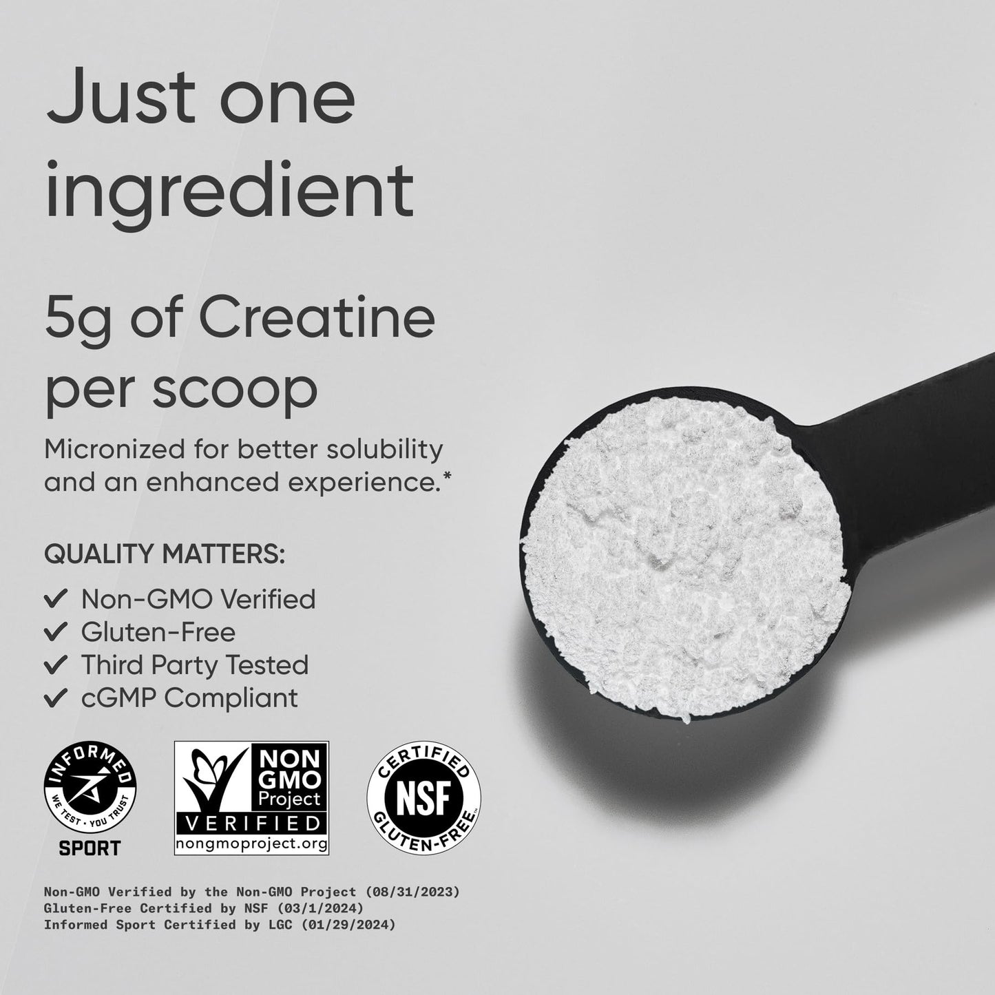 Sports Research Creatine Monohydrate - Gain Lean Muscle, Improve Performance and Strength and Support Workout Recovery* - 5 g Micronized Creatine - 17.64 oz Sports Research buy supplements Au