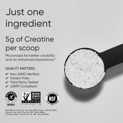 Sports Research Creatine Monohydrate - Gain Lean Muscle, Improve Performance and Strength and Support Workout Recovery* - 5 g Micronized Creatine - 17.64 oz Sports Research buy supplements Au