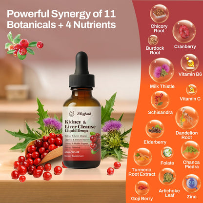 Zeolite Detox Drops for Kids & Kidney Cleanse Drops for Adults - Liquid Supplement Duo with Vitamins C B12 D3, Cranberry, Chanca Piedra, Milk Thistle & Herbal Blend - Mixed Berry & Cranberry Flavor, 6 Pavintrix buy supplements Au