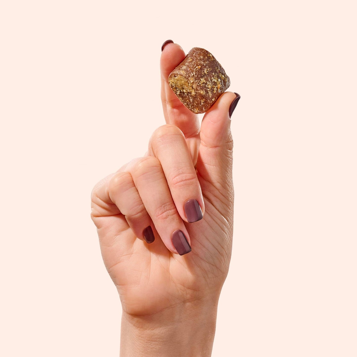 Fiome Fiber Bites - 5g Daily Fiber Supplement - Supports Regularity, Digestion and Gut Health - All Natural Ingredients, 30 Servings, Peanut Butter Flavor