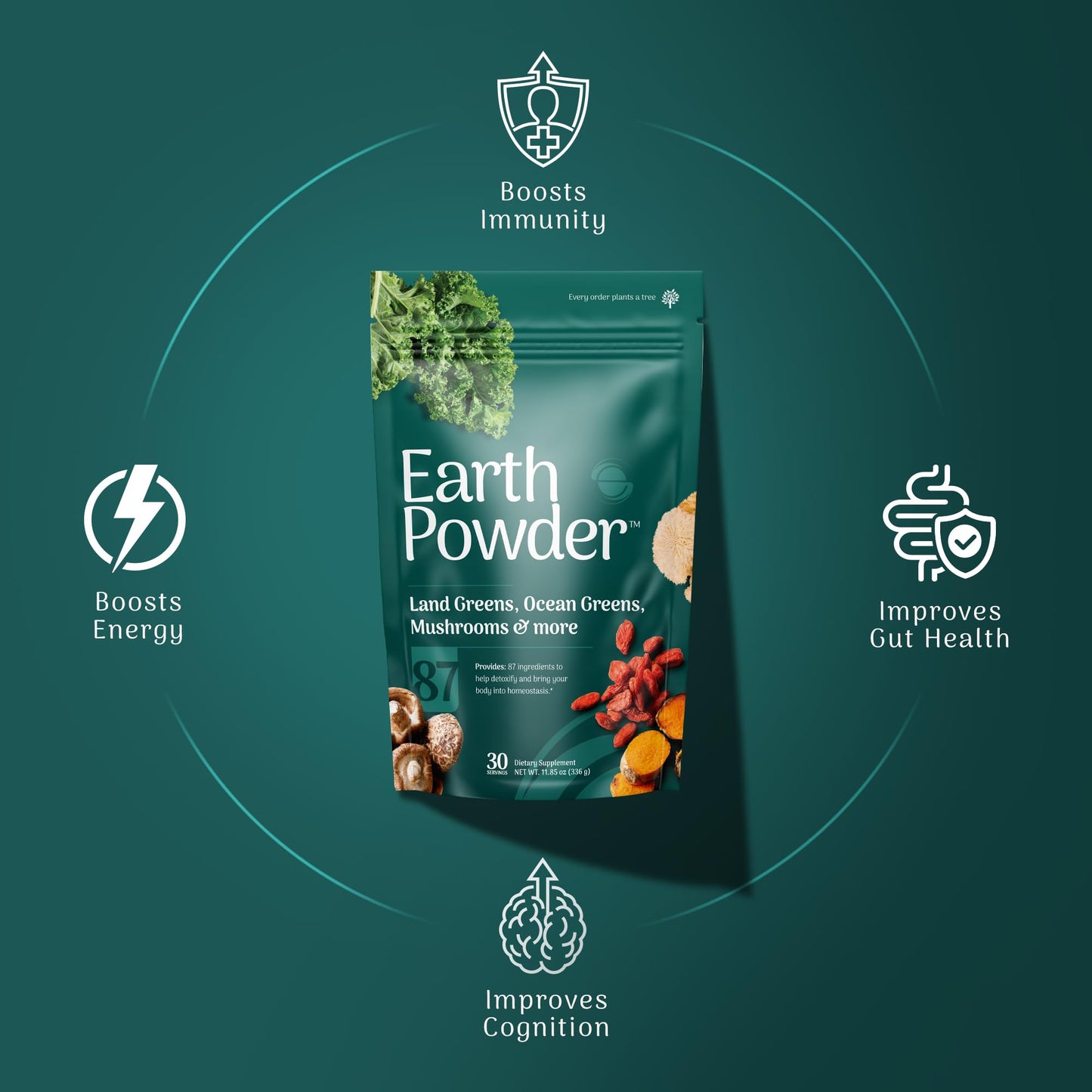Earth Powder Daily Foundational Nutrition Supplement with 28 Greens & 10 Mushrooms | 87 Nutrients for Energy, Gut Health & Mental Clarity Earth Powder buy supplements Au