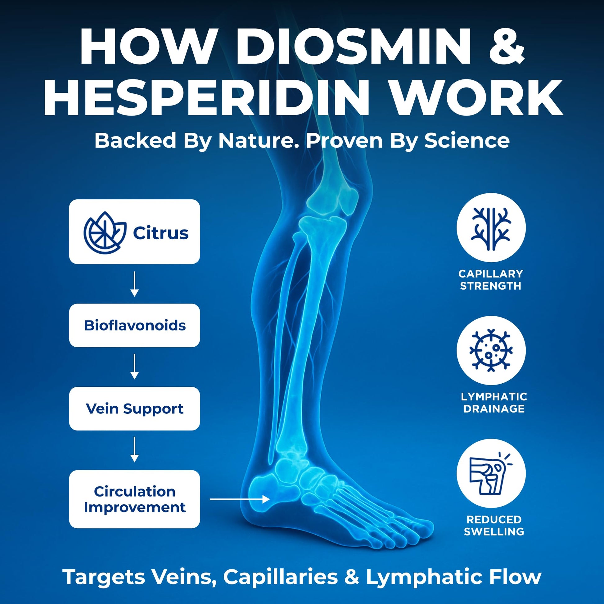 We Like Vitamins Diosmin Hesperidin 1000mg – 180 Capsules – 90 Day Supply - Diosmin and Hesperidin Supplement – Helps to Support Healthy Circulation, Veins, Capillaries, and Lymphatic Drainage We Like VitaminsBuy Supplements Australia