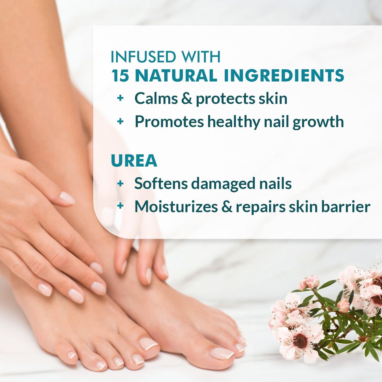 Ebanel Antifungal Cream Miconazole Athletes Foot Treatment, Cures Fungal Infection Leading to Nail Fungus, Jock Itch Cream with Undecylenic Acid, Tea Tree & Manuka Oil, Fast Itch Relief for Ringworm