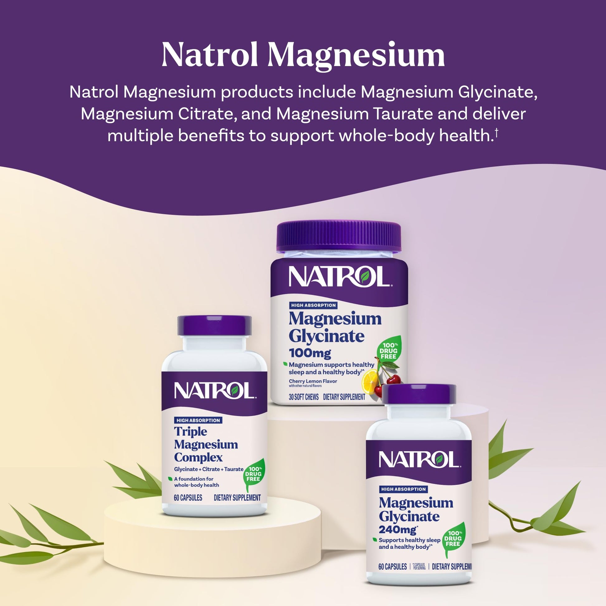Natrol Triple Magnesium Complex Supplement, Glycinate, Citrate & Taurate 200mg High Absorption, Support Whole Body Wellness, 60 Capsules Natrol buy supplements Au