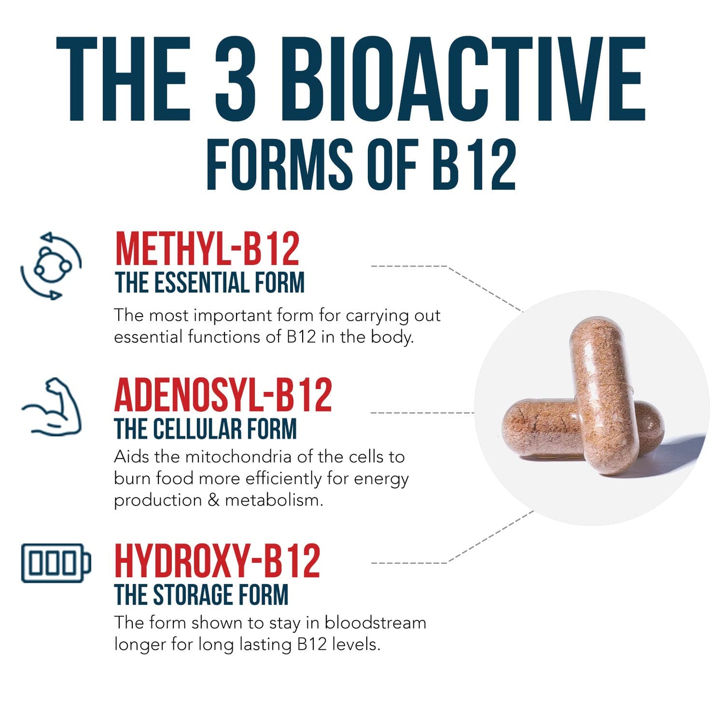 BioActive Vitamin B12 - 5000 mcg, Contains 3 BioActive Forms B12 Plus Methylfolate Cofactor - Methyl B12, Adenosyl B12 & Hydroxy B12 | Supports Energy
