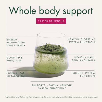 WelleCo The Super Elixir Daily Greens Powder, Probiotic Drink Mix with Whole Foods, Gluten Free, Vegan Gut Health Powder, Energy, Immunity, Healthy Skin, Hair & Nails (300g, Mixed Berry) WelleCoBuy Supplements Australia