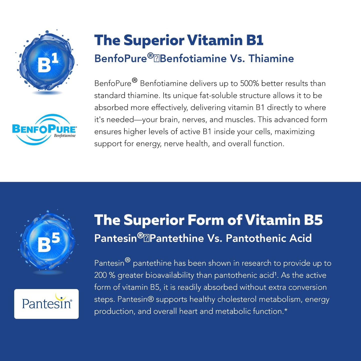 BioActive Vitamin B Complex - Blood Stream Ready, Methylated B Complex - Featuring Methylfolate, 3 BioActive Forms of B12, BenfoPure® B1 & Pantesin