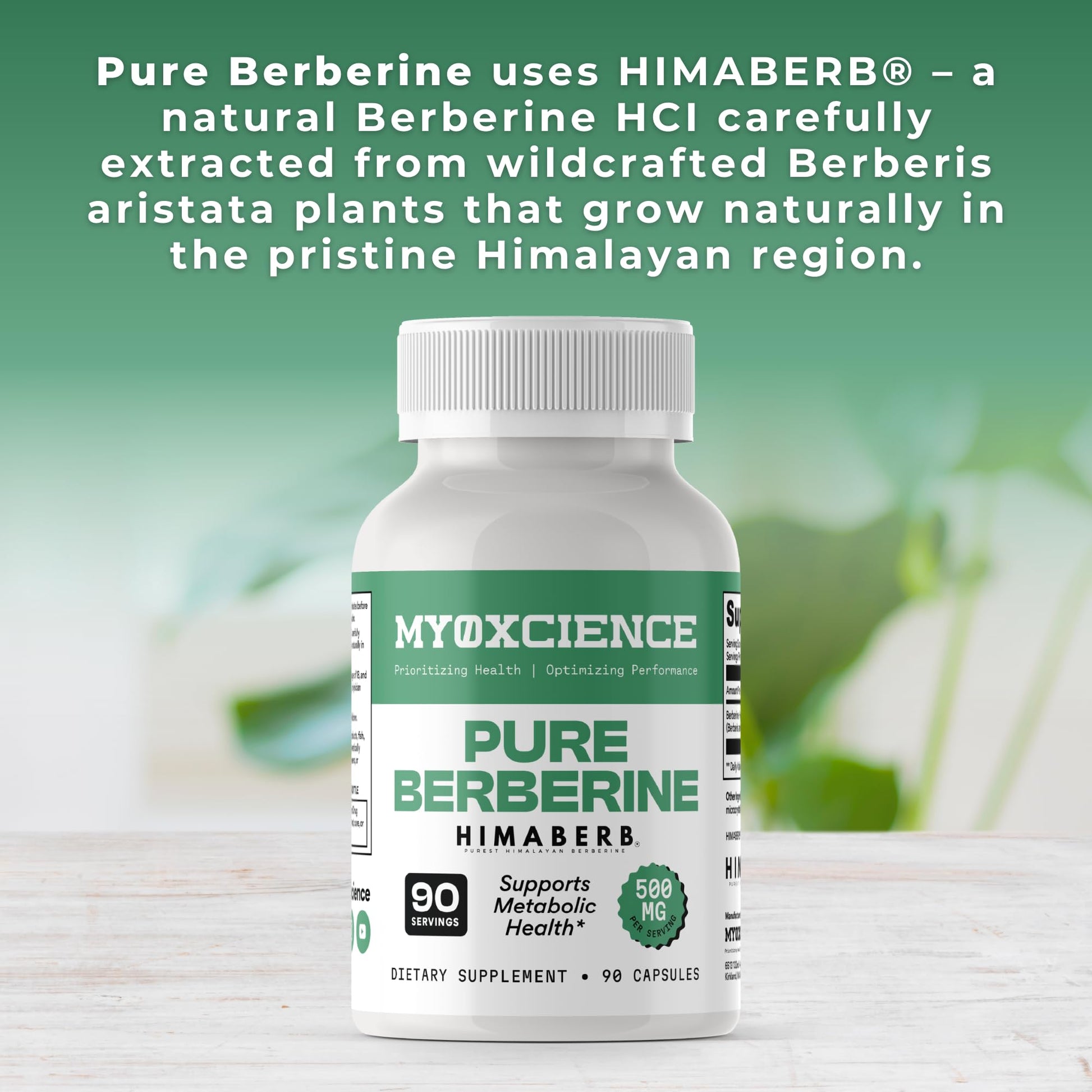 MYOXCIENCE Pure Berberine Himaberb | 500 mg of Berberine HCl per Serving | 90 Servings MYOXCIENCE buy supplements Au