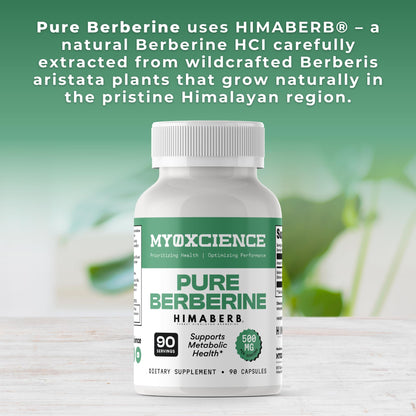 MYOXCIENCE Pure Berberine Himaberb | 500 mg of Berberine HCl per Serving | 90 Servings MYOXCIENCE buy supplements Au