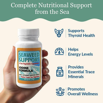 Maine Coast Sea Vegetables Seaweed Support Iodine Formula | Source of Iodine from Seaweed | Daily Use Iodine Supplement | Organic Alaria, Rockweed, Sea Lettuce, Dulse & Bladderwrack blend | 60 Capsule Maine Coast Sea VegetablesBuy Supplements Australia