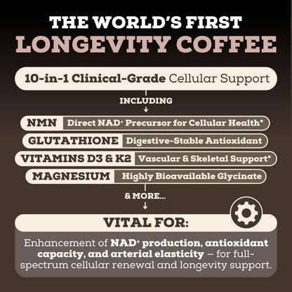 Black Forest Longevity Mix Liquid NAD+ Alternative Mocha Coffee 10-in-1 with NMN 250mg, Glutathione 250mg, TMG, Magnesium Glycinate, Vitamins D3 K2 C B12, High Polyphenol Cocoa, 30 Servings Black ForestBuy Supplements Australia