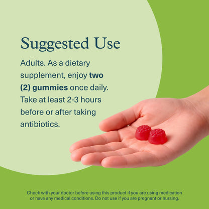 Youtheory Spore Probiotic Zero Sugar Gummy 90ct