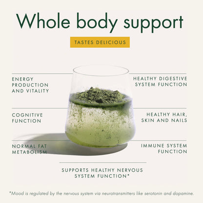 WelleCo The Super Elixir Daily Greens Powder, Probiotic Drink Mix with Whole Foods, Gluten Free, Vegan Gut Health Powder, Energy, Immunity, Healthy Skin, Hair & Nails (300g, Lemon Ginger) WelleCo buy supplements Au