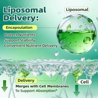 Liposomal Lymphatic Drainage Drops, 4 fl oz – 30-in-1 Lymphatic Drainage Supplements with 23 Herbs & 7 Vitamins – Supports Lymphatic System, Immune & Liver Health – Detox Support – 60-Day Supply Nivltpure buy supplements Au