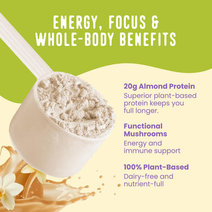 FlavCity Vegan Almond Protein Shake Powder, Vanilla Cream + Reishi & Cordyceps Mushrooms - Focus, Skin, Hair & Joint Support - Organic Fruit All in One Smoothie On-the-Go, 20 Servings