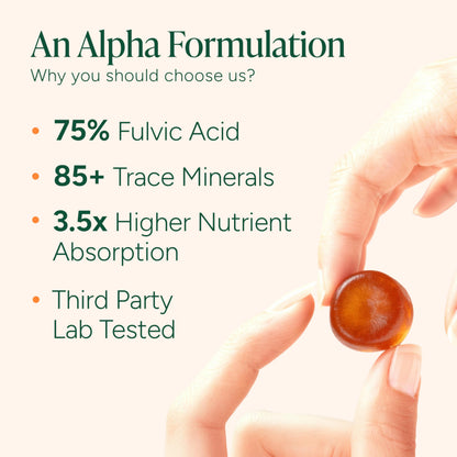 ROOT LABS 10-in-1 Alpha Shilajit Gummies | 4000 mg Pure Himalayan Shilajit with Tongkat Ali & Maca Root | Shilajit for Men & Women | ShilAbsorb Bioavailability Tech | Sugar-Free, Vegan | 60 Gummies ROOT LABS buy supplements Au
