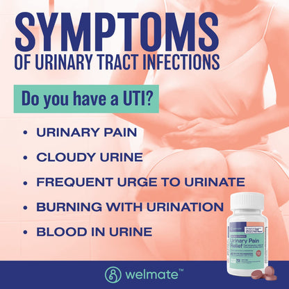 WELMATE Urinary Pain UTI Relief Maximum Strength (Phenazopyridine HCL) - Improve Urinary Tract Health & Bladder Control, Urgency, & Discomfort | Over-The-Counter Medication for Men & Women (72 Pills) WELMATE buy supplements Au
