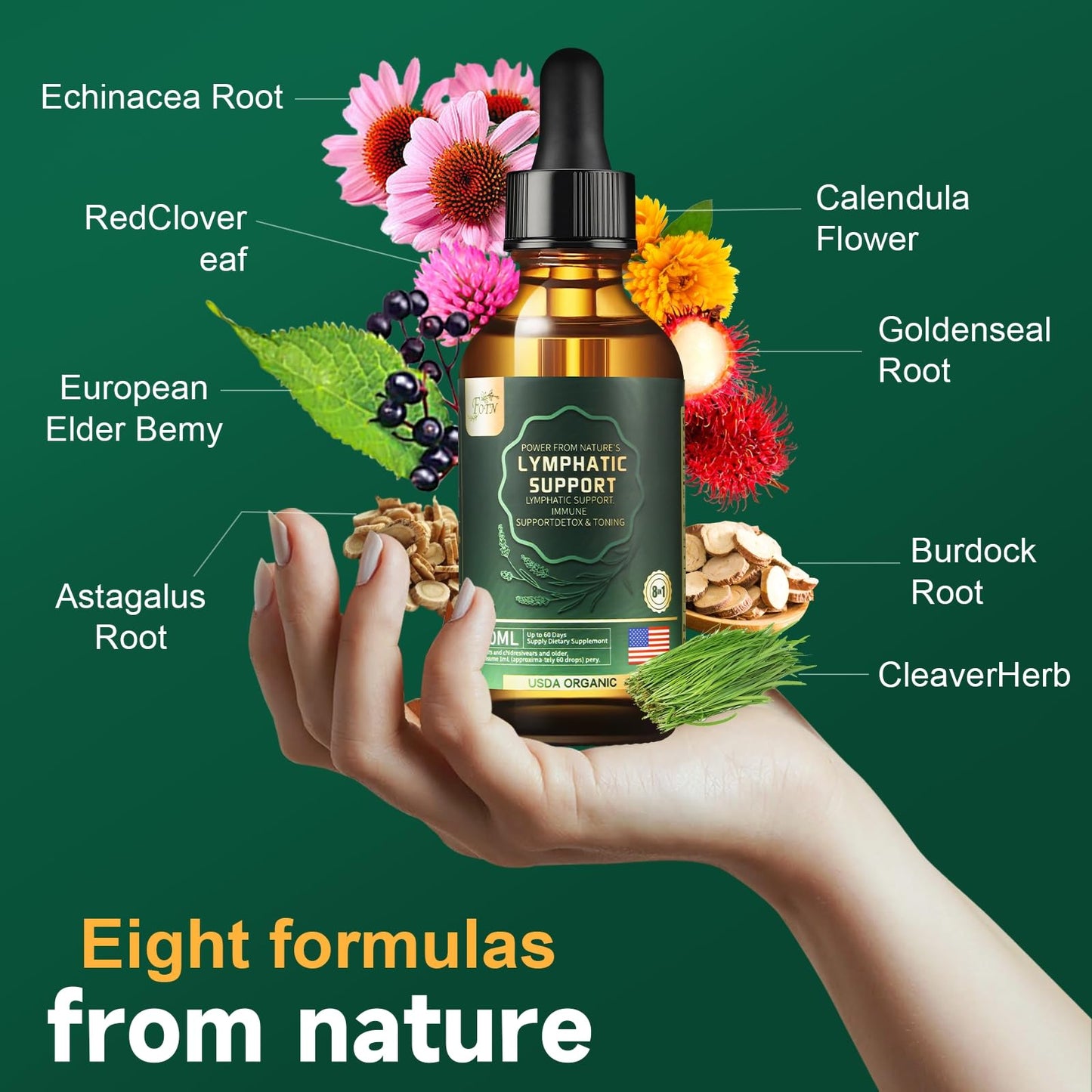 FOTN Lymphatic Drainage Drops - Organic Herbal Supplements - Echinacea | Elderberry | Astragalus | Burdock | Calendula | - Immune Support, Lymphatic Detoxd&Cleanse, 2 fl oz FOTN buy supplements Au
