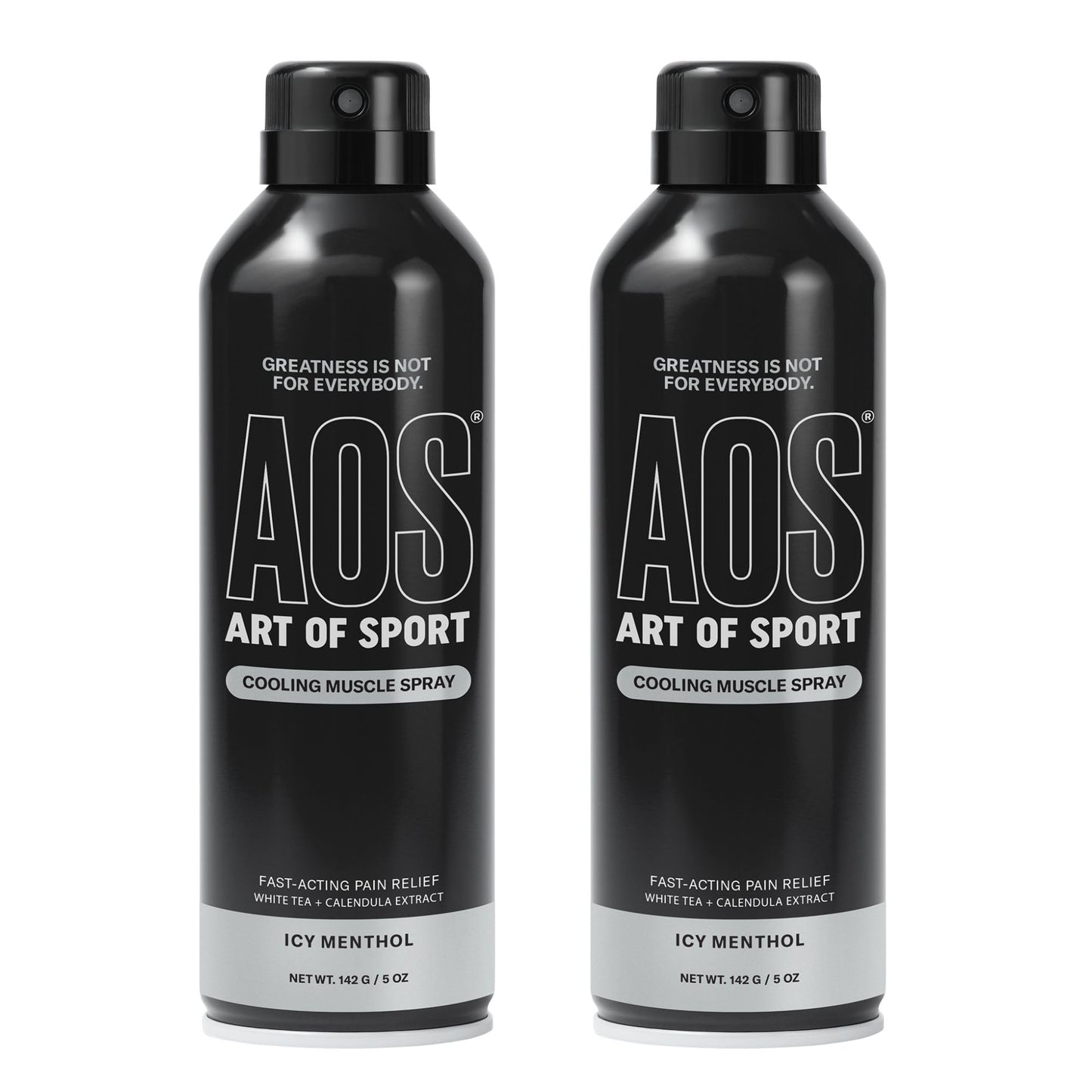 Art of Sport Muscle Relief Spray for Men – Cooling Menthol Pain Relief for Sore Muscles & Joints – Back, Neck, Knee, Shoulder, Hip – Fast-Acting Body Spray – Made for Athletes – 5 fl oz (2-Pack) Art of SportBuy Supplements Australia