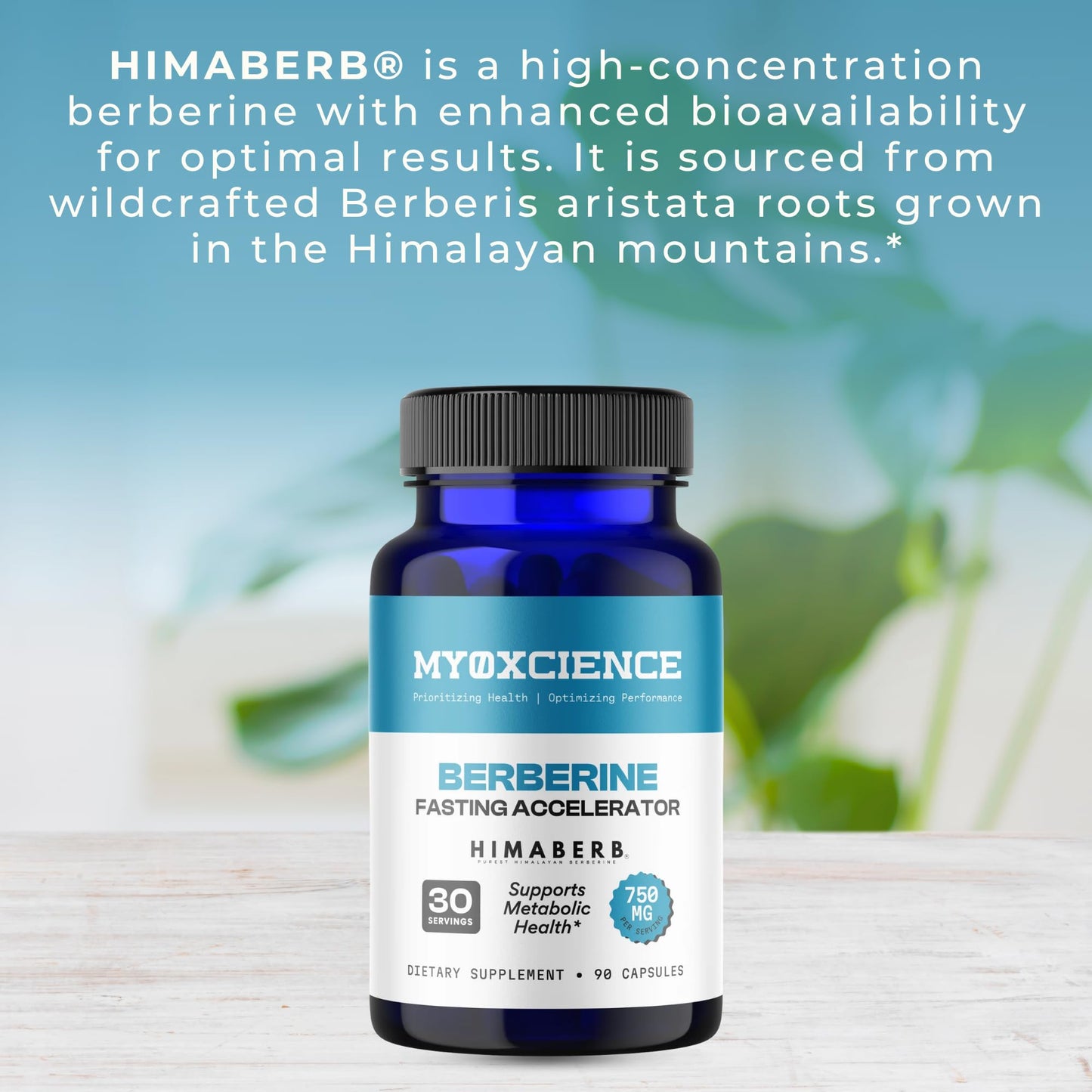 MYOXCIENCE Berberine Fasting Accelerator | Himaberb Berberine HCL with ALA (Alpha Lipoic Acid) and Biotin (90 Capsules) MYOXCIENCE buy supplements Au