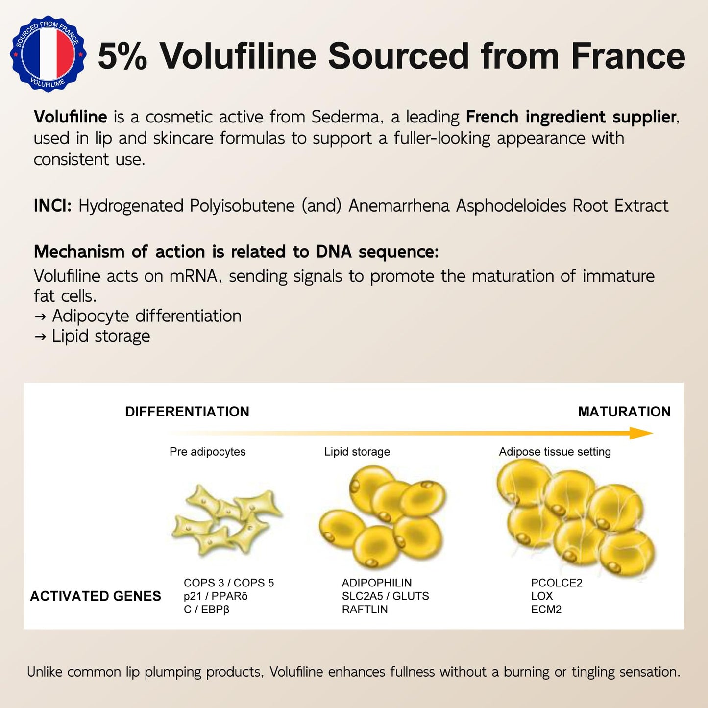 YouthVibe 5% Volufiline Lip Plumper, Nourishing & Anti Aging Over Time with Squalane, Shea Butter, Collagen, Peptide & PDRN - No Burning, No Tingling for Gentle Daily Plumping YouthVibeBuy Supplements Australia