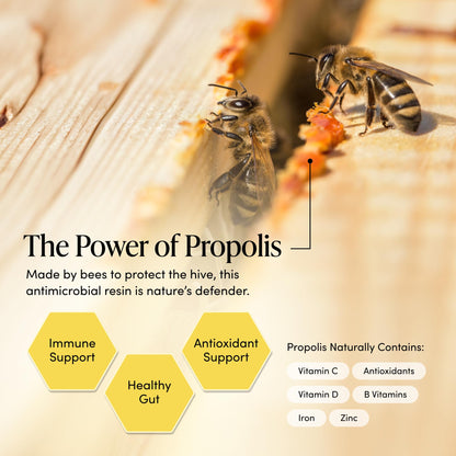 Propolis Throat Spray by Beekeeper's Naturals - 95% Bee Propolis Extract, Natural Immune Support & Sore Throat Relief - Antioxidants, Keto, Paleo, Gluten-Free (1.0 oz)(Pack of 1) Beekeeper's Naturals buy supplements Au