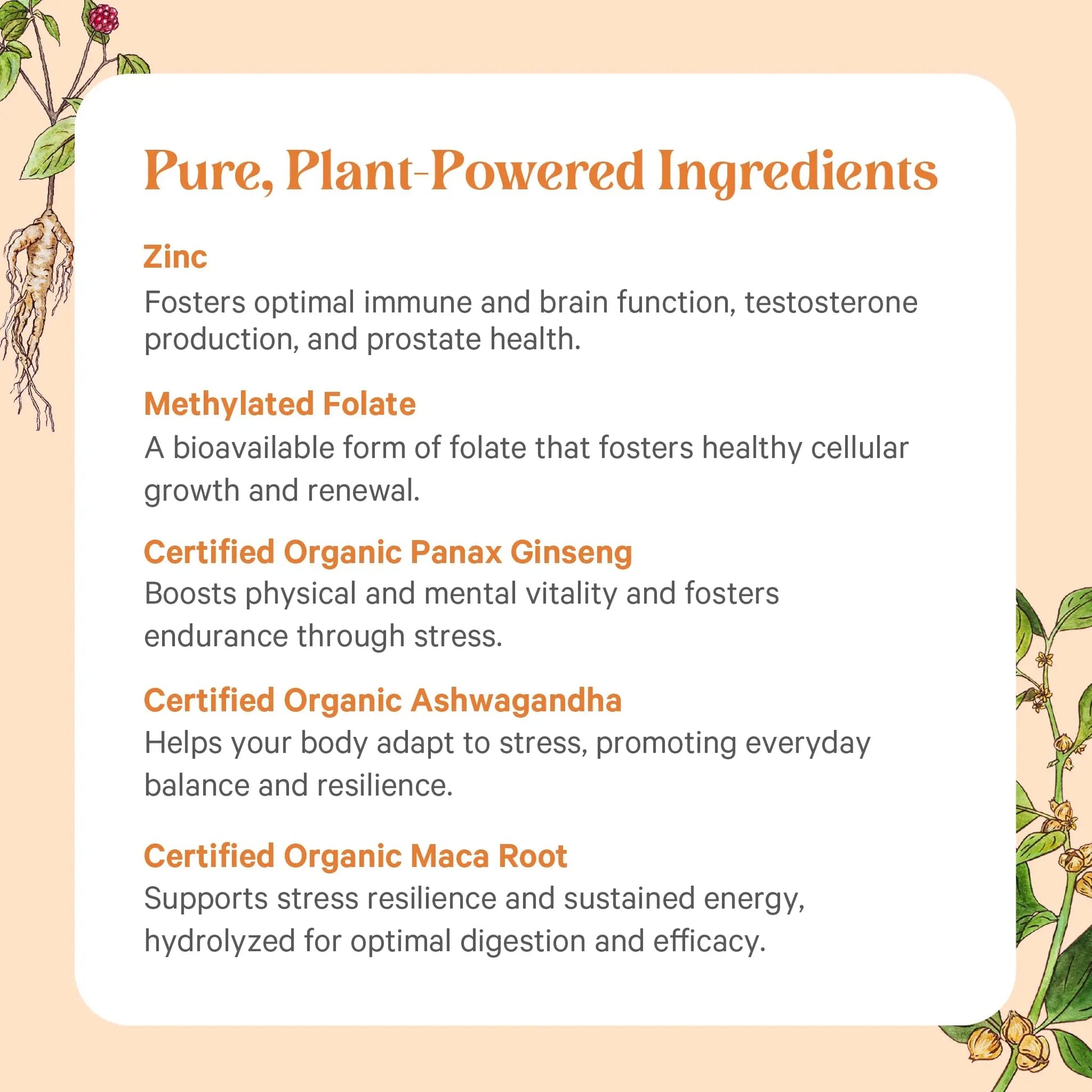 PURE SYNERGY Vita·Min·Vitality | Natural Multivitamin for Men | Men’s Daily Multivitamin Made with Organic Whole Foods | PURE SYNERGY