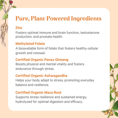 PURE SYNERGY Vita·Min·Vitality | Natural Multivitamin for Men | Men’s Daily Multivitamin Made with Organic Whole Foods | for Energy, Stress, and Immune Support (60 Tablets) PURE SYNERGY buy supplements Au