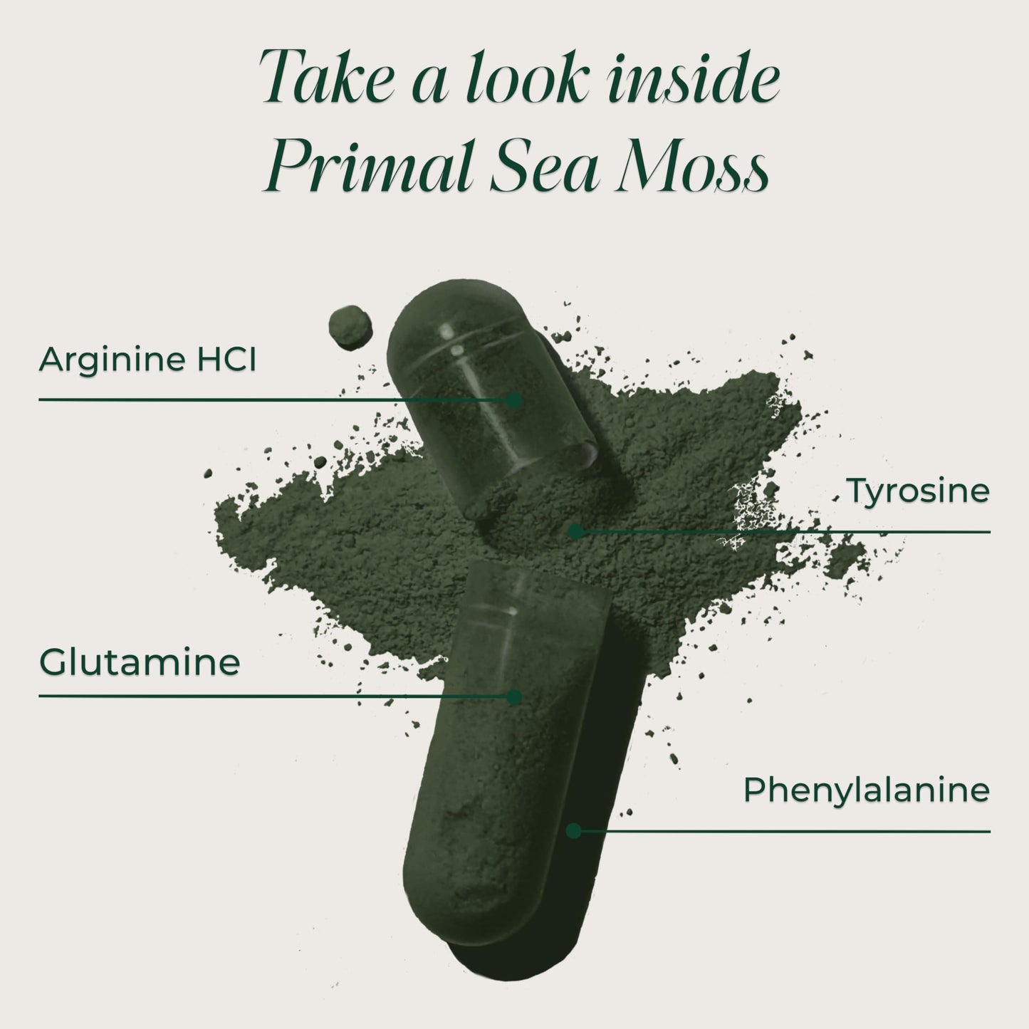Primal Harvest Sea Moss Capsules with Bladderwack and Irish Sea Moss, Chlorella, Broccoli Seed Extract Plant-Based Supplements for Adults Primal HarvestBuy Supplements Australia