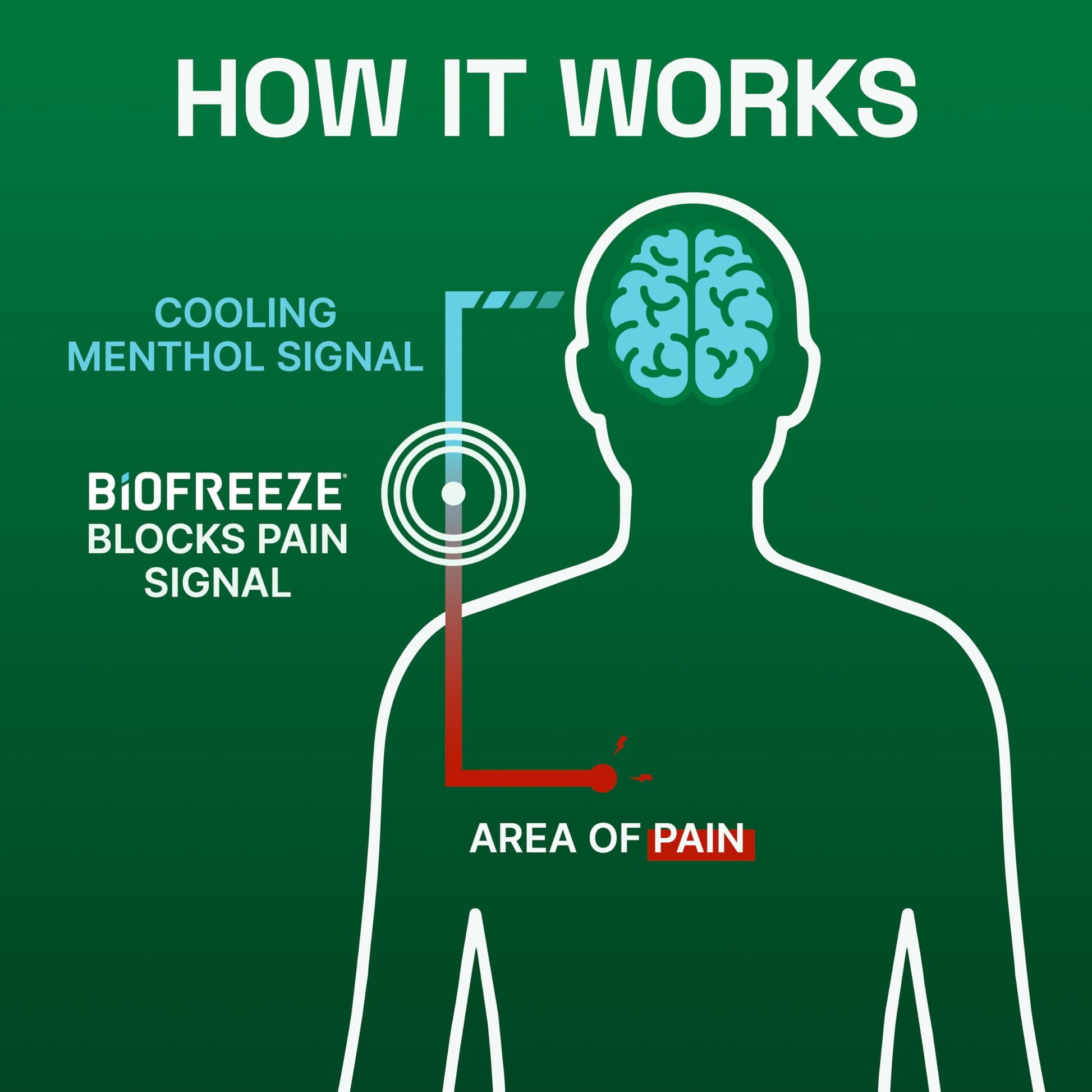 Biofreeze Pain Relief Gel, Arthritis Pain Reliver, Knee & Lower Back Pain Relief, Sore Muscle Relief, Neck Pain Relief, Pharmacist Recommended, 8 FL OZ Biofreeze Menthol Gel BiofreezeBuy Supplements Australia