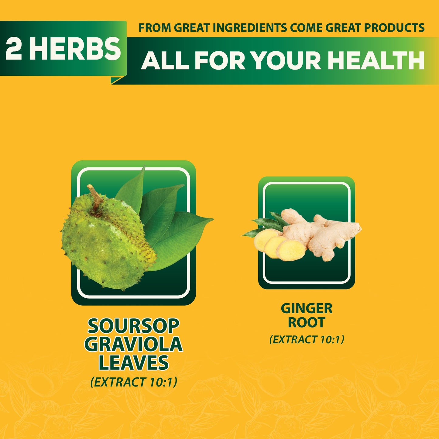 DEDICAD Soursop Leaves Tea Bags with Ginger, 30 Tea bags, 2gr/bag - Non-GMO/Caffeine free - Support Digestion, Well Skin, Immune System DEDICAD buy supplements Au
