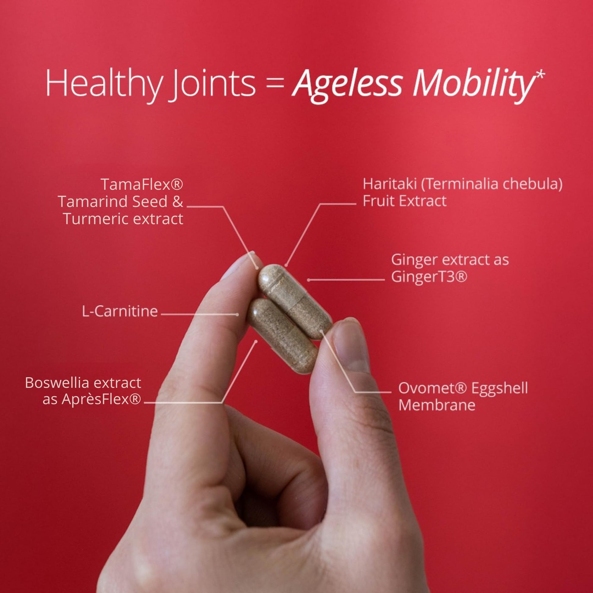 Qualia Joint Health 9 Advanced Joint Health nutrients: denatured Collagen, boswellia, tumeric, Boron, Ginger, L-carnitine. Cartilage Health, Tendon Strength, Healthy Joint Aging (1 Month Supply) QUALIA LIFE SCIENCESBuy Supplements Australia