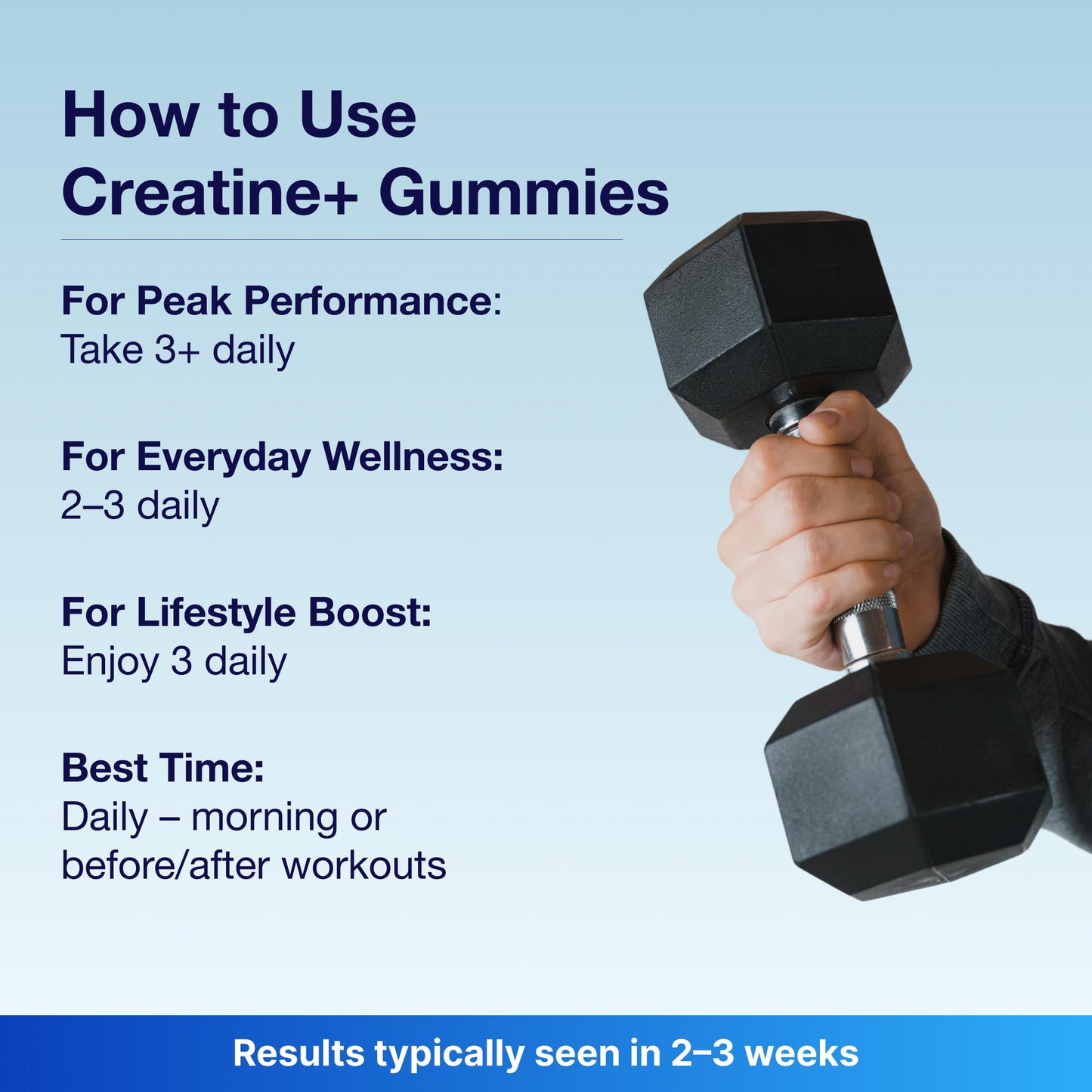 Bear Balanced Creatine Gummies for Men & Women - Creapure® Creatine Monohydrate, L-Theanine, L-Tyrosine & B12 for Muscle Growth, Strength, Focus, Energy & Health