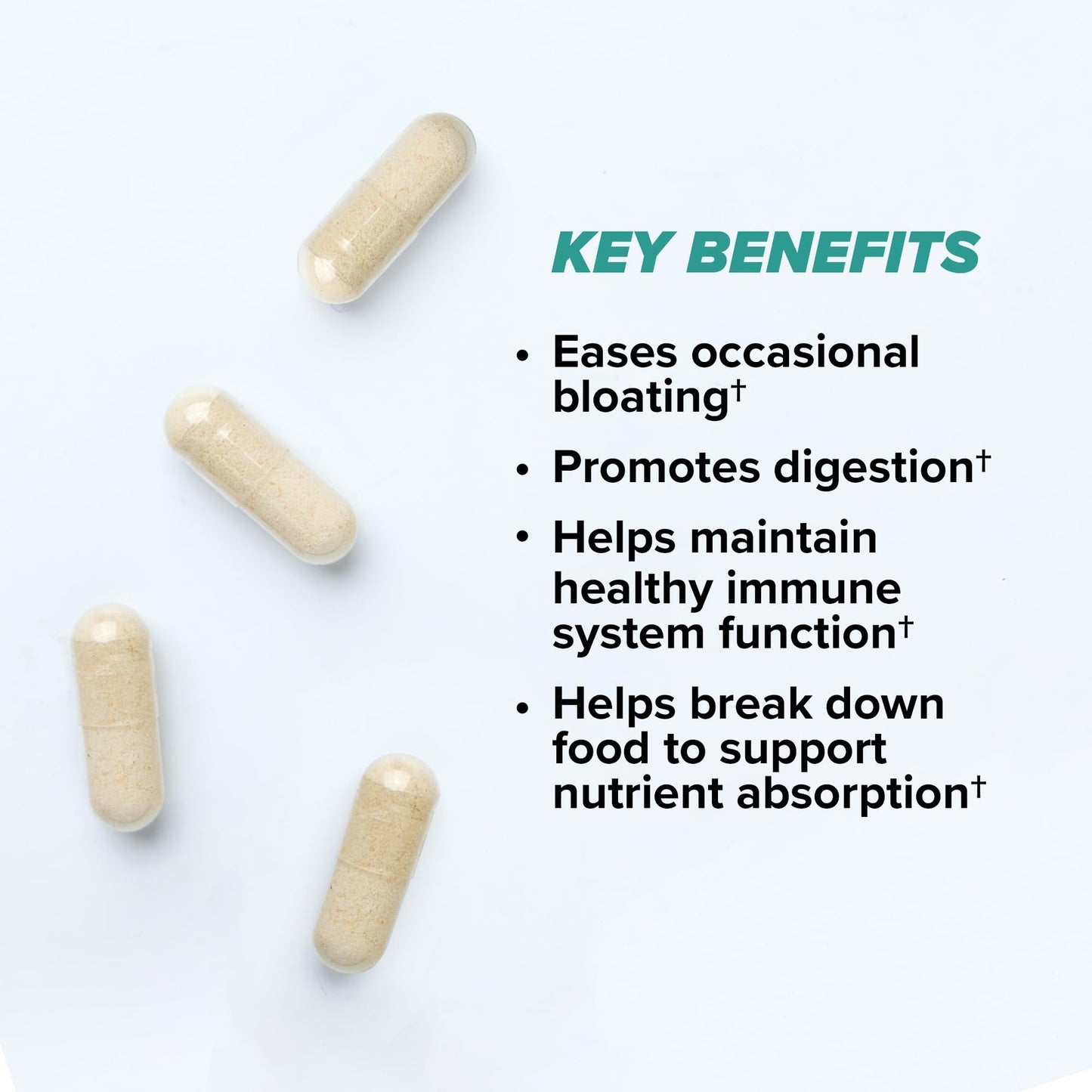 ONNIT Total Gut Health Daily Digestive Support, IGEN Non-GMO Tested Digestion Supplement for Women and Men with 7 Strains of Probiotics, Prebiotics,