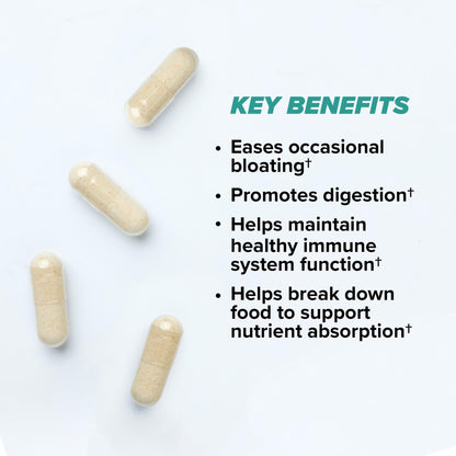 ONNIT Total Gut Health Daily Digestive Support, IGEN Non-GMO Tested Digestion Supplement for Women and Men with 7 Strains of Probiotics, Prebiotics,