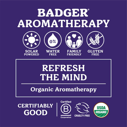 Badger Headache Soother - .6 oz Stick BadgerBuy Supplements Australia