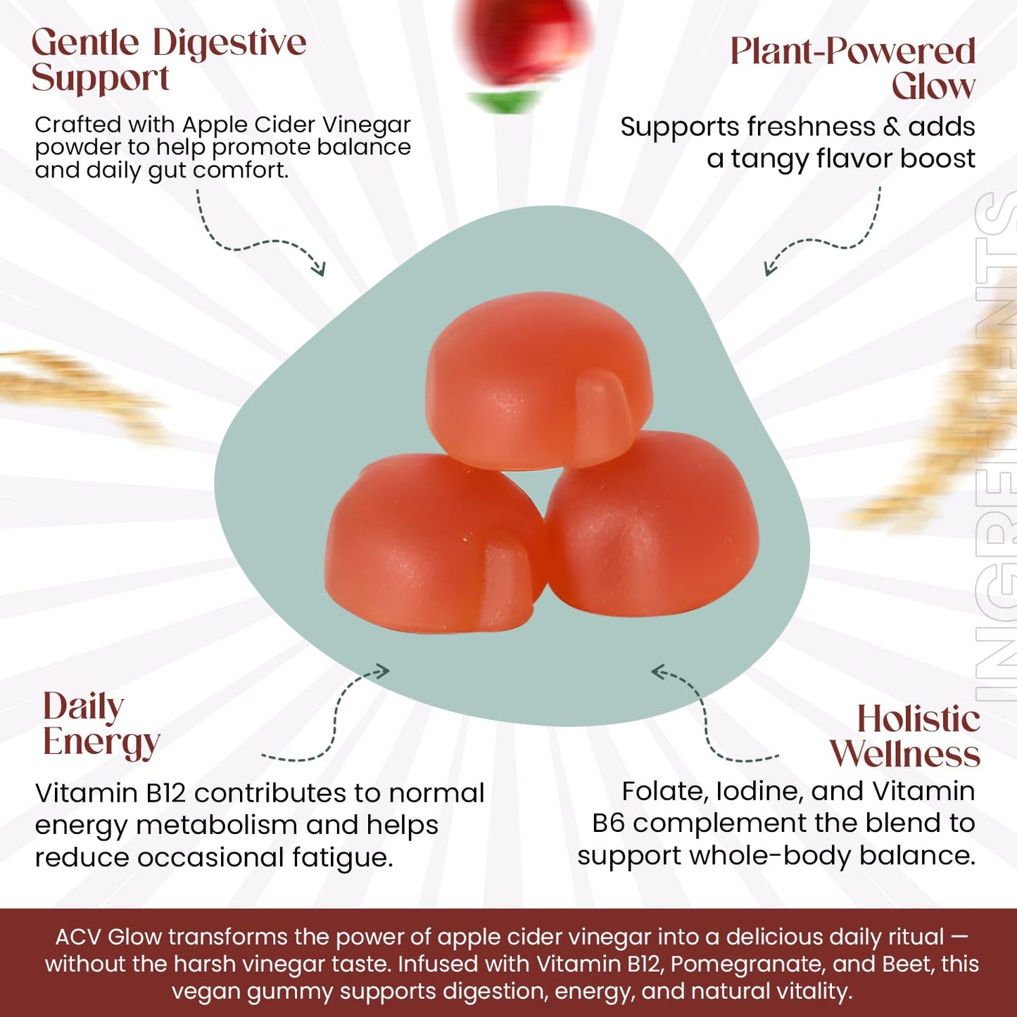 Everé ACV Glow Gummies – Apple Cider Vinegar with B12, B6, Iodine, Folate, Beetroot & Pomegranate – Daily Wellness Support for Energy & Balance The EverÉ Natural Alchemy buy supplements Au