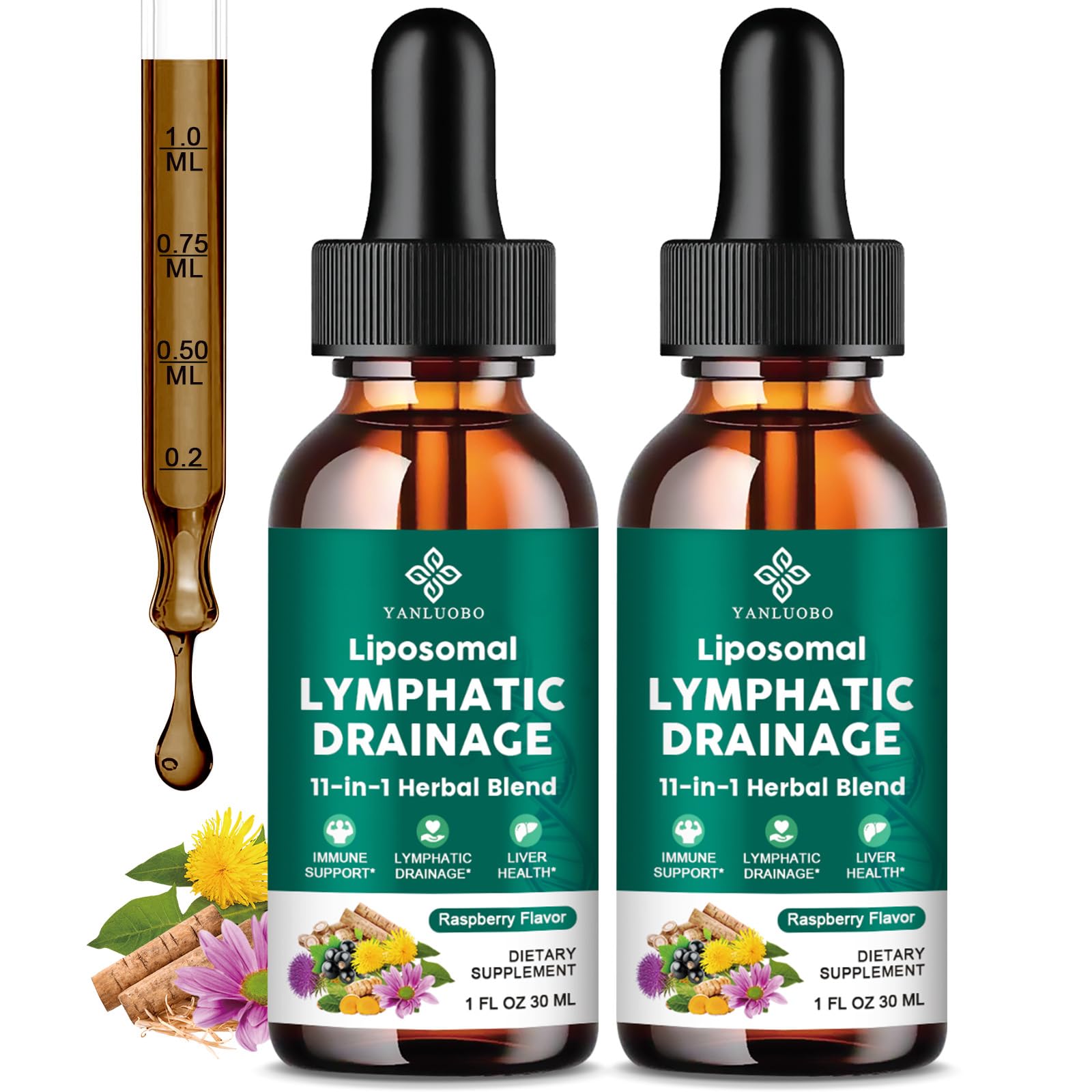 Lymphatic Drainage Drops - 11 in 1 Lymphatic Supplement for Immune, Lymph System & Liver Detox - with Echinacea, Horse Chestnut, Dandelion, Elderberry & Burdock - Raspberry Flavor, Vegan, 2 Fl Oz YANLUOBO buy supplements Au