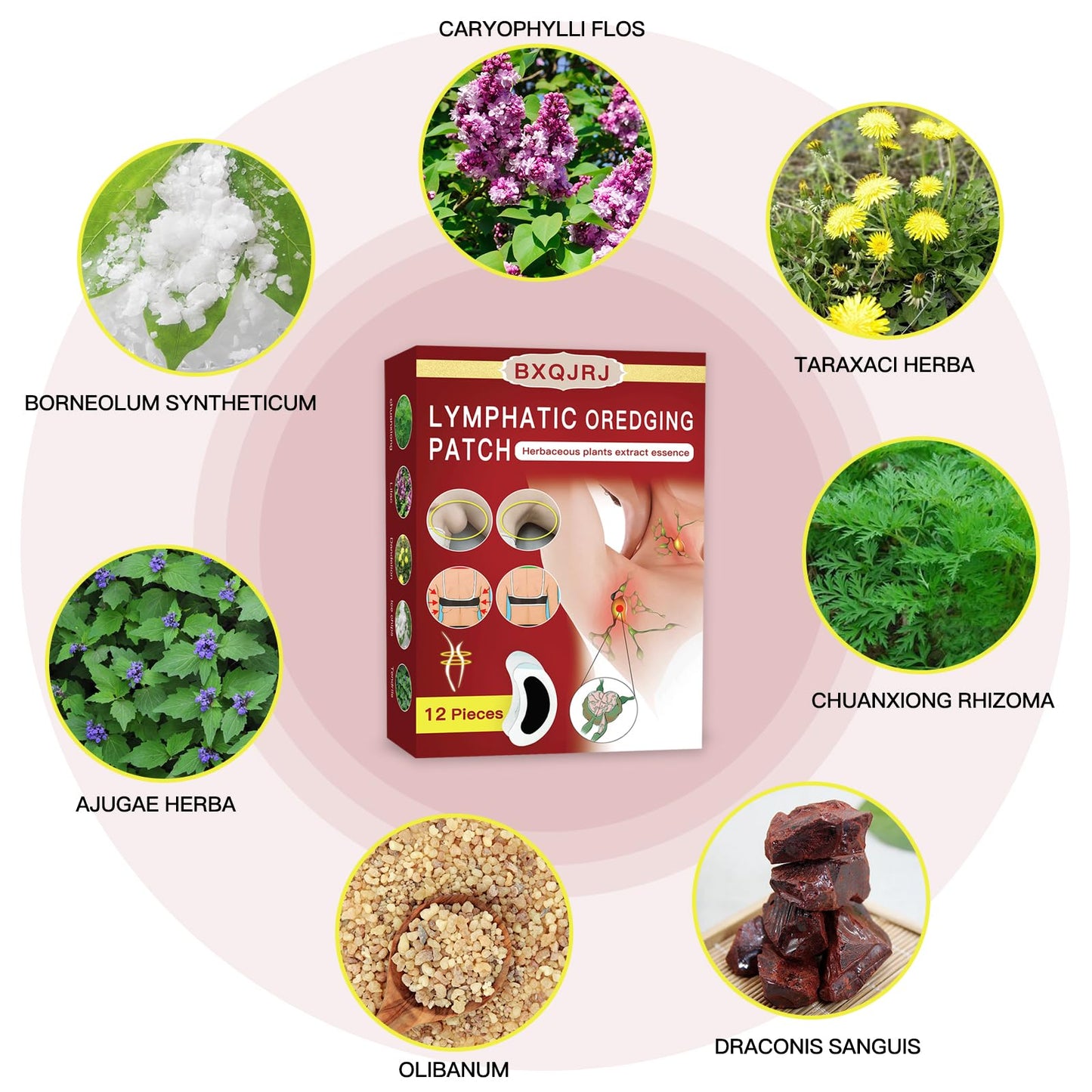 BXQJRJLymphatic Drainage Patch Lymphatic Drainage Herbal Lymphatic Drainage Care Patch Herbal Neck Patch (12) BXQJRJ buy supplements Au