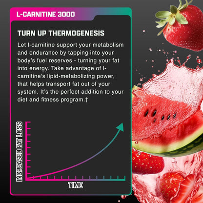 Nutrex Research L Carnitine 3000 - Clinically Dosed L-Carnitine Liquid for Energy, Metabolism & Muscle Recovery - Delicious Strawberry Watermelon - No Sugar, No Carbs