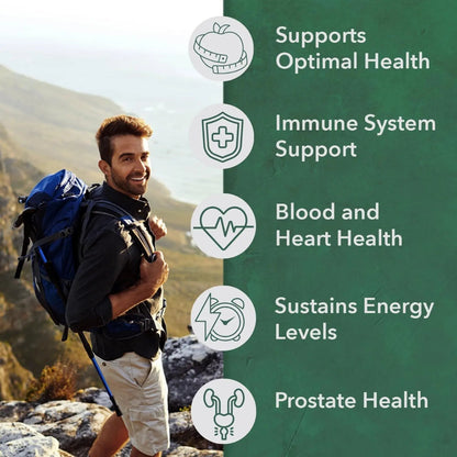 PlantFusion Organic Multivitamin for Men - One Daily Whole Food Blend Men's Multivitamin - Vegan, Non-GMO PlantFusion